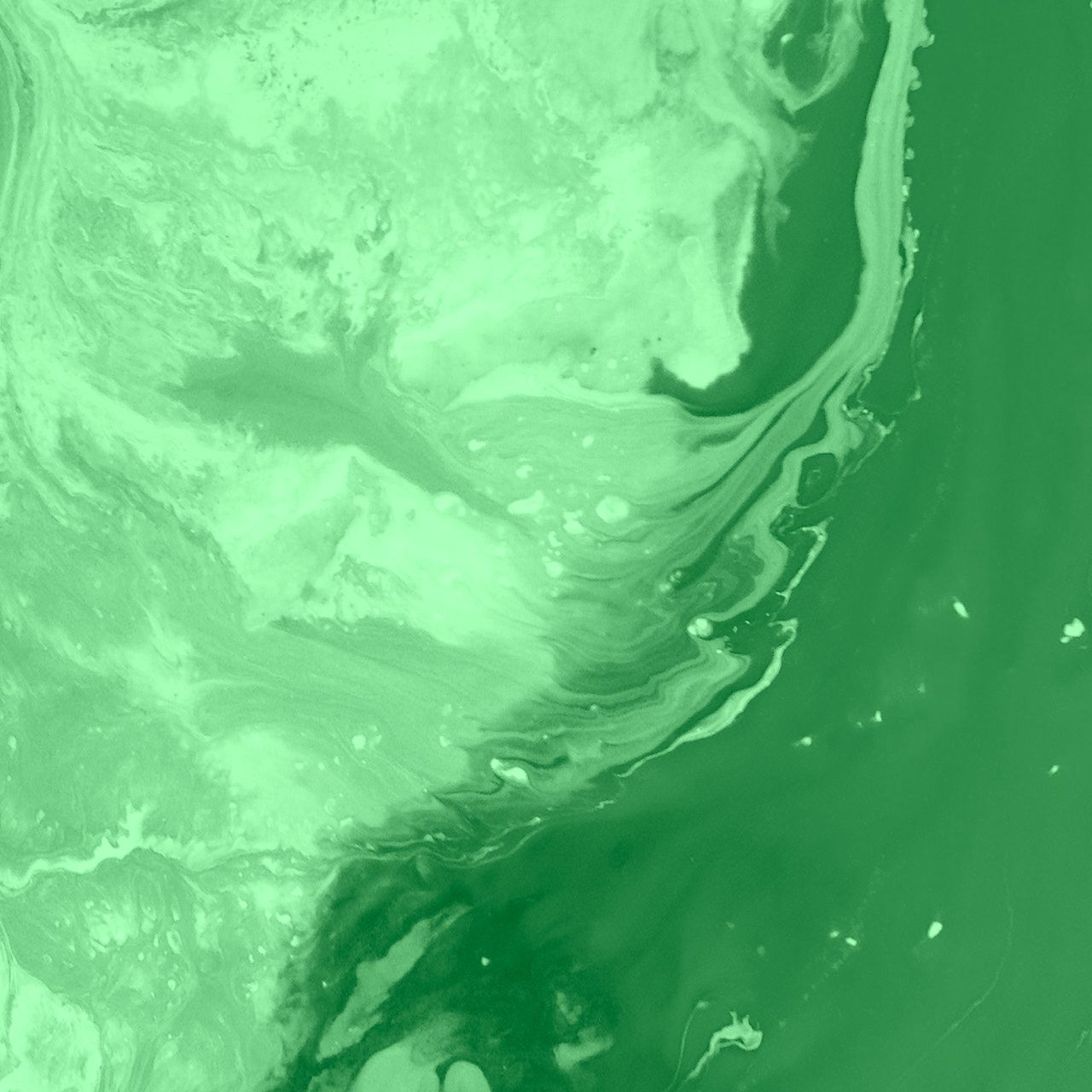 agencia de diseño web con precios competitivos