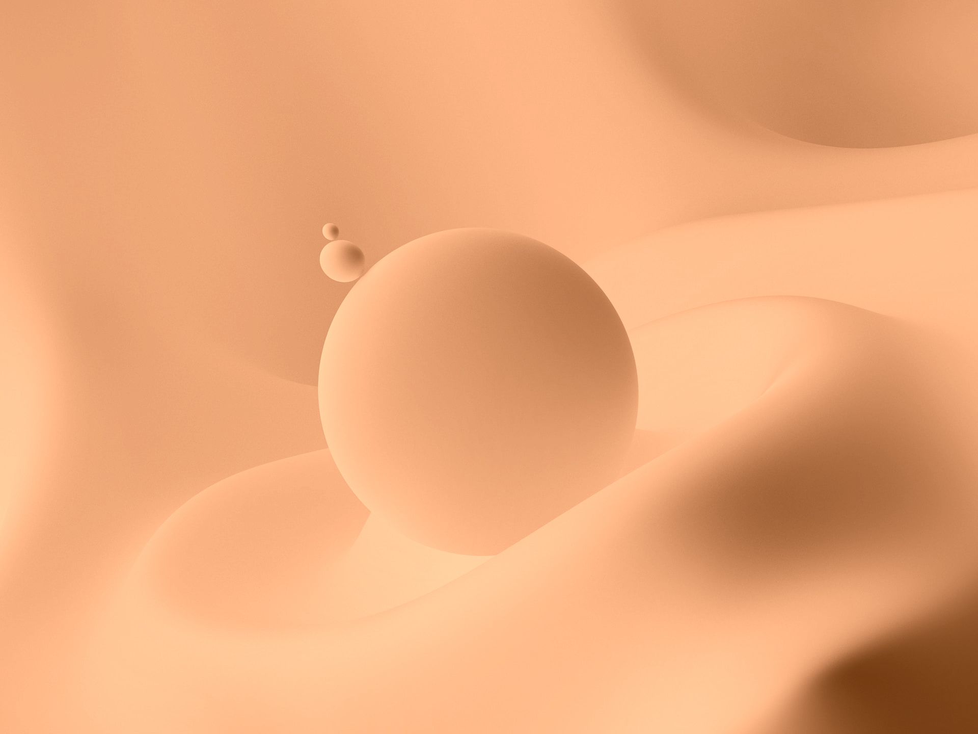 Ridaly las mejores agencias de diseño web y sus practicas las mejores agencias de diseño web y sus practicas