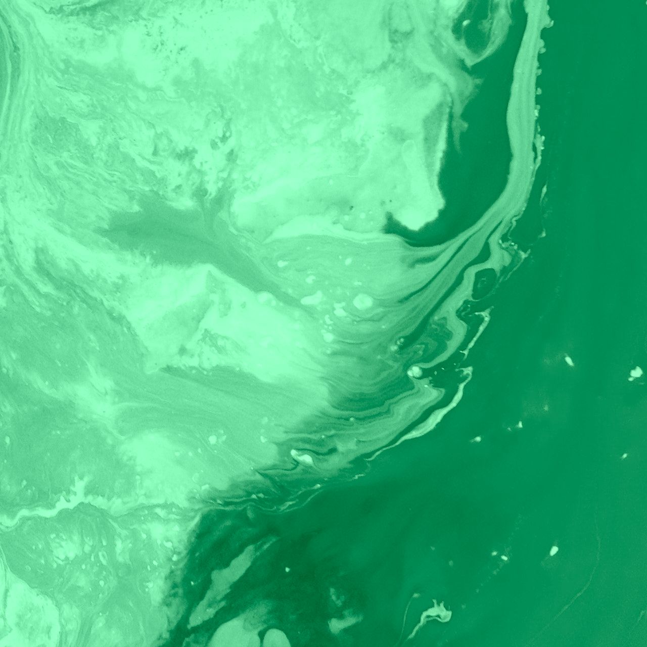 Ridaly Aprende todo sobre diseño web Aprende todo sobre diseño web