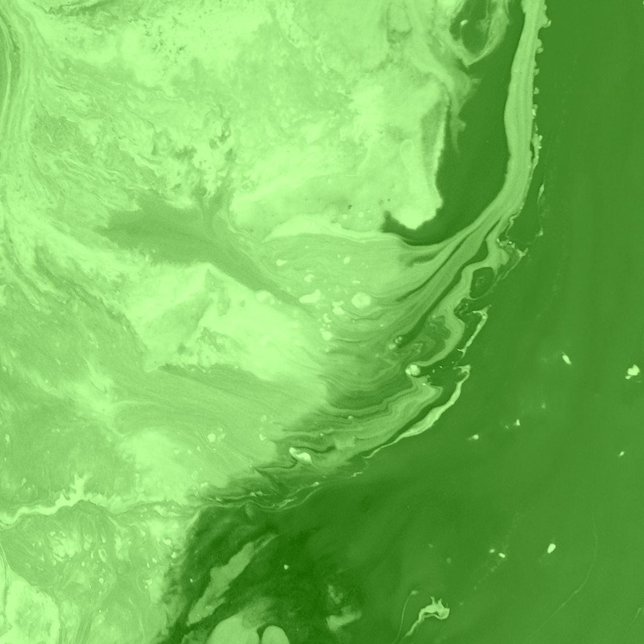 Ridaly tipos de agencias de diseño web tipos de agencias de diseño web